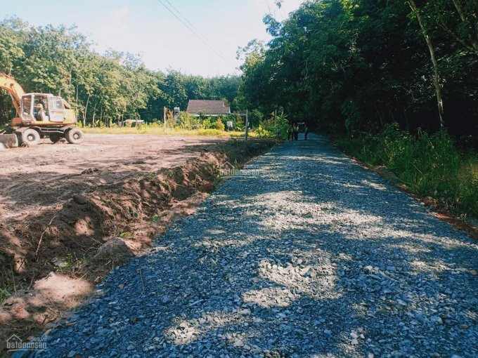 đất Gần Ngay Khu đô Thị Phúc Hưng Chơn Thành Bình Phước Giá Rẻ Chỉ 455tr Sở Hữu Ngay 1 Lô đất đẹp 4