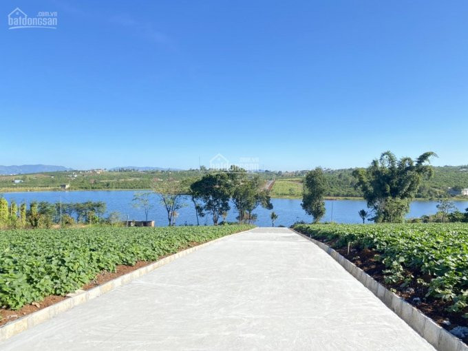 đất Nền Evergreen Garden Hồ Phúc Thọ, Cách Sân Bay Liên Khương 35km, đà Lạt 60km Lh: 0908532185 1