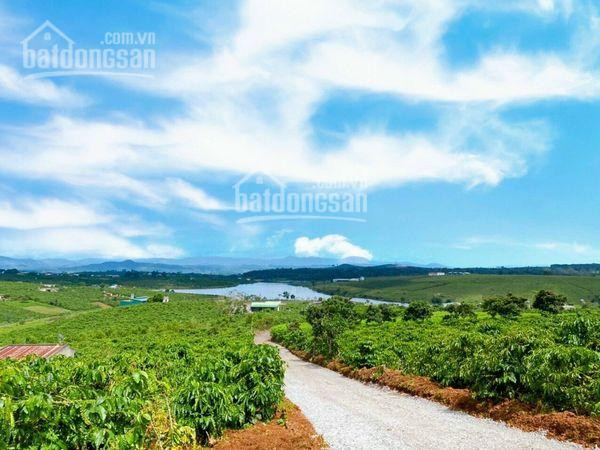 đất Nền Evergreen Garden Hồ Phúc Thọ, Cách Sân Bay Liên Khương 35km, đà Lạt 60km Lh: 0908532185 3