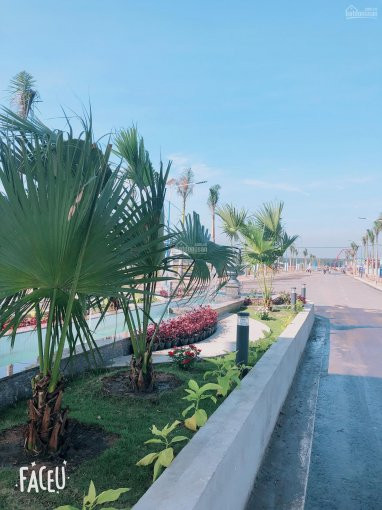 đất Sân Bay Long Thành Giá Gốc Chủ đầu Tư - Sổ đỏ Riêng 3