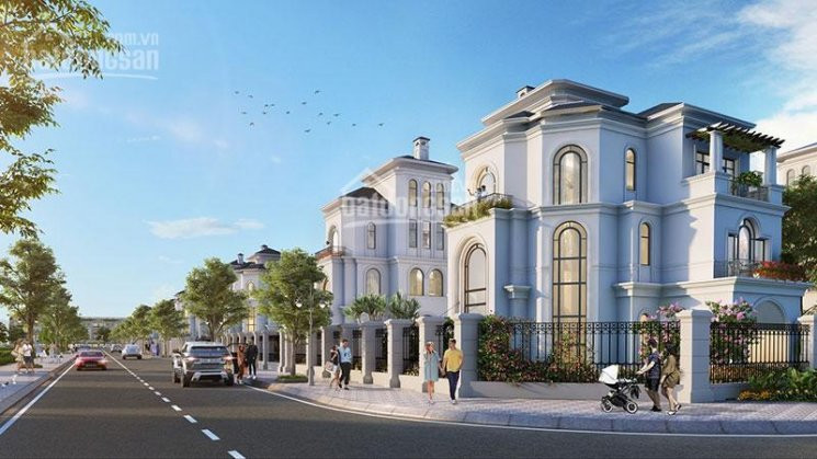 Gấp Shophouse Hàng Hiếm Ngọc Trai 06, Mặt đường Lớn 52m Kd Thuận Lợi Tại Vinhomes Ocean Park 2