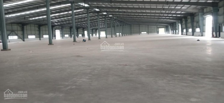 Kho, Nhà Xưởng Mới Xây Theo Tiêu Chuẩn Dt: 8800m2 - 97600m2 Trong Kcn Nhơn Trạch 3, Tỉnh đồng Nai 1