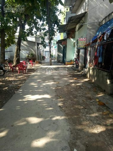 Nhà Cấp 4 ( 5x11,5m) Giáp Ranh Qtân Bình, Hẻm Thông 4m, Giá 43 Tỷ 2