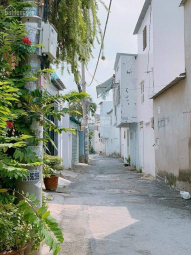 Nhà Mới Trung Tâm Phú Nhuận Dt: 6m X 6m, 1 Trệt 3 Lầu, Sân Thượng 3