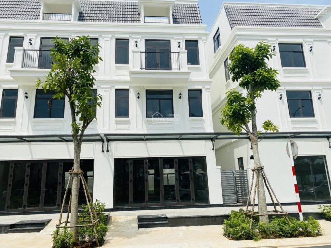 Nhận Giữ Chỗ Dự án Lavida Residences Dự án Hót Nhất Vũng Tàu 2