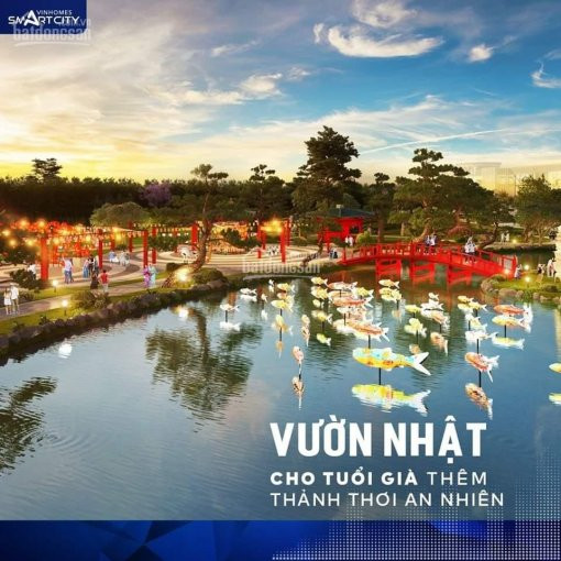 Nhận Nhà Ngay 2pn Vinhomes Smart City Chỉ Cần 369 Triệu Htls 80% Tới 11 Tháng Vay Tối đa 35 Năm 5