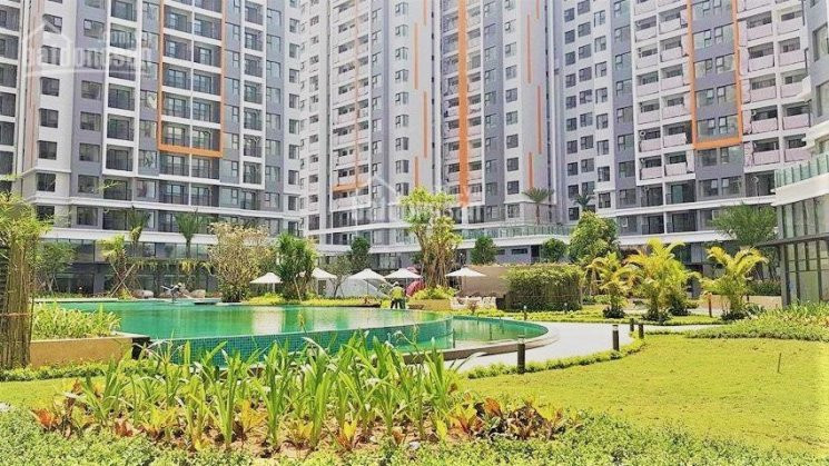 Nhượng Lại Hđ Thuê Safira Kd Q9 2pn 67m2 Bếp, Rèm, Dàn Phơi, View Hoa Hậu Giá 57tr/th Lho902305909 8