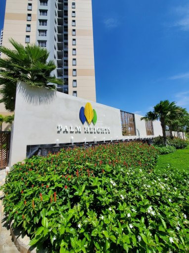 Palm Heights Bán Gấp Căn 2pn, Full Nội Thất để đi định Cư Nước Ngoài Nên Rẻ Hơn Thị Trường 200tr 7