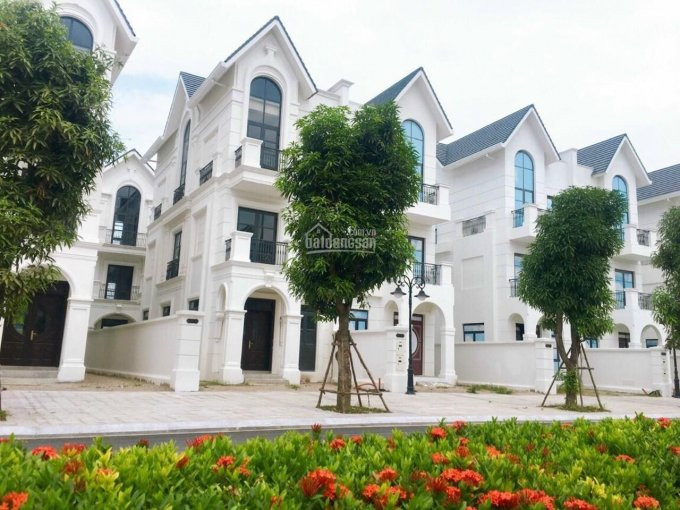 Shophose Song Lập Hải âu 150m Vị Trí  đẹp Nhất Vinhomes Ocean Park 0845089666 7