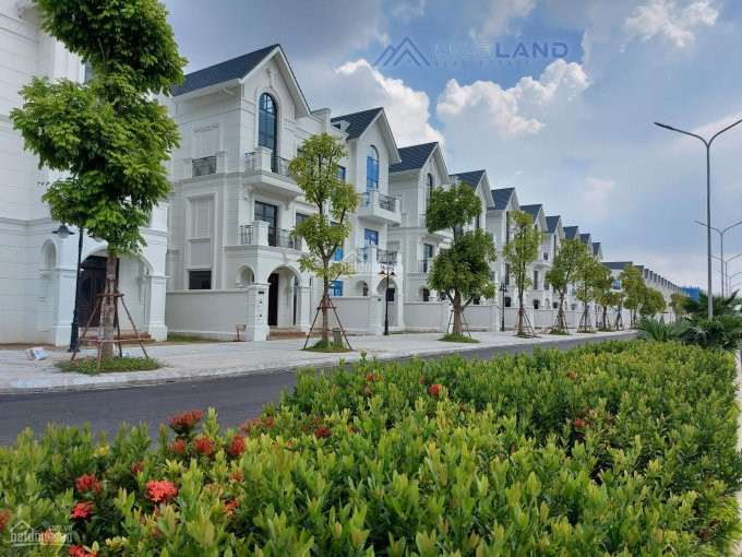 Siêu Phẩm Biệt Thự Song Lập Hải âu Vinhomes Ocean Park Rẻ Nhất Thị Trường, 0845089666 4