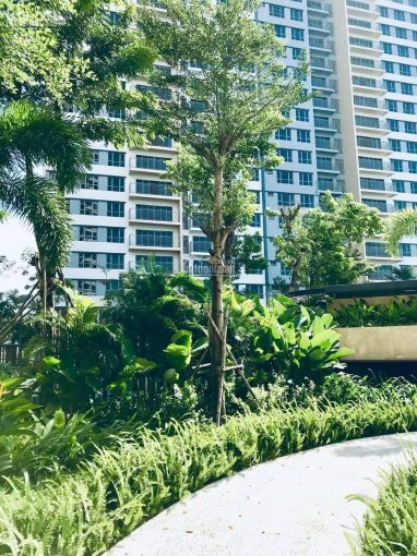 Top 10 Ch Giá Rẻ Nhất Nên Mua 12/2020 - Chuyên Dự án Palm Heights - Xem Nhà Trực Tiếp 0931257668 8