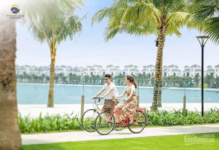 Trực Tiếp Pkd Căn Hộ 1pn+ 1 Chỉ Cần 260tr Nhận Nhà, Htls đến 1/2023 + Quà Tặng- Vinhomes Ocean Park 7