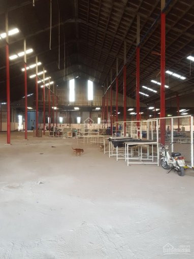 Xưởng Cho Thuê Thới Hòa, Bến Cát Dtkv 13000m2, Dtx 10000m2 Giá 450 Triệu Tl 5