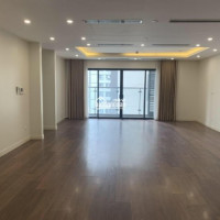 0985 123 300 Cho Thuê Căn Hộ 3 Pn 123m2 Thống Nhất Complex 82 Nguyễn Tuân, Giá 105 Triệu/tháng