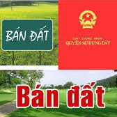 Chính Chủ Bán Nhanh Gấp  đất Phố Yên Lãng - Mặt Tiền Rộng - đất Phân Lô - ô Tô Vào 128m2 - 106 Tỷ