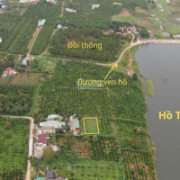 Chính Chủ Bán Nhanh Nền đất View Tuyệt đẹp Ven Hồ Tây Di Linh, Cách Ql 20 Chỉ 200m