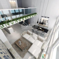 Chính Chủ Bán Nhanh Nhanh Căn Loft House Lớn Diện Tích 220m2 Full Nội Thất Cao Cấp Giá 3750 Tỷ Lh 0789794078