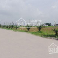 Chính Chủ Cần Bán đất Công Nghiệp Tại Hưng Yên Diện Tích 2700m2, 5000m2, 1ha, 2ha, 3ha, 5ha, 10ha, 20ha