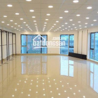 Chính Chủ Cho Thuê Nhanh Vp Dt 67 - 90 - 150 - 210m2 - 300m2 - 500m2 Vũ Phạm Hàm, Cầu Giấy Lh 0987951218