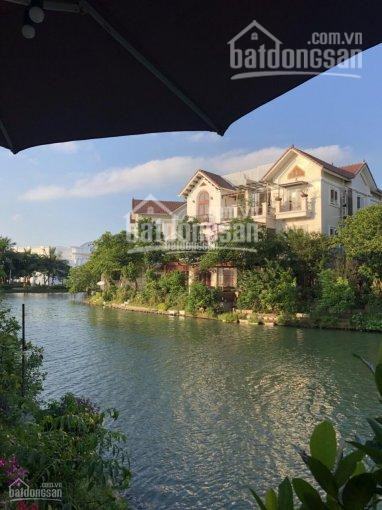 Bán Bt Hoa Sữa 375m2, Rẻ Quạt Ngã 3 Sông, đơn Lập, Gần Alamz, Vinhomes Riverside: 0943489999 1