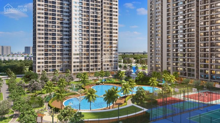 Căn Hộ 2pn 1,58 Tỷ View Bể Bơi 1000m2 Quỹ Căn 1pn, 2pn, Giá Tốt Trực Tiếp Cđt Vinhomes Smart City 5