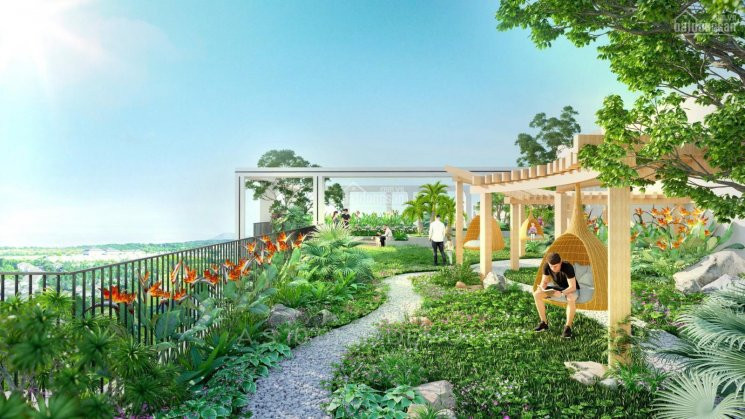 Căn Hộ Miền Nhiệt đới Feliz Homes, Panorama Hoàng Mai Sức Sống Mới Ra Mắt đợt 1 Giá Hấp Dẫn 6