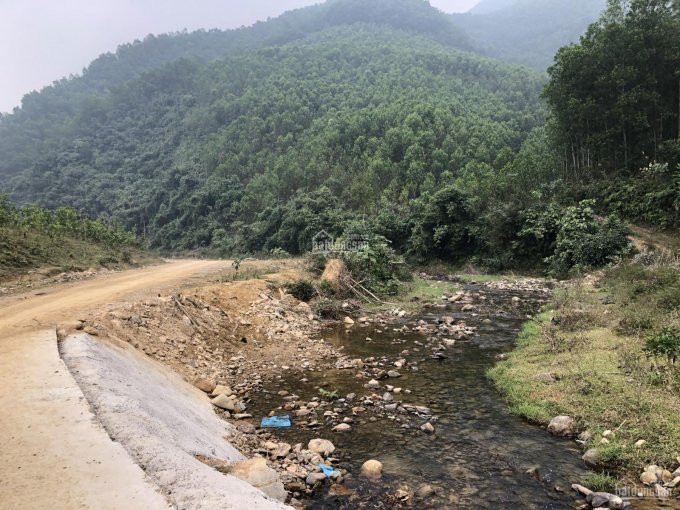 -cần Tiền Bán Gấp 38hat Tại đú Sáng, Kim Bôi, Giá Rẻ Như Cho , Tường To Vào Tận đất 4