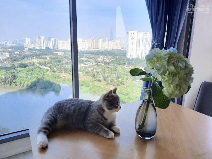 Chỉ 9,1 Tỷ Bao Thuế Phí Sổ Hồng Sở Hữu Ngay 3pn 120m2 Trực Diện View Sông Q1 Bitexco, Landmark 81 2