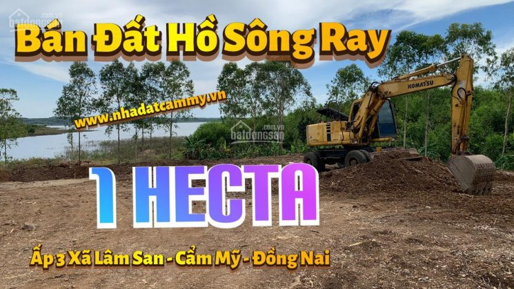 Chính Chủ Bán Nhanh 1 Hecta đất Nghỉ Dưỡng View Hồ Sông Ray Cực đẹp Xã Lâm San, Huyện Cẩm Mỹ, đn/ Gía 4,5 Tỷ 1