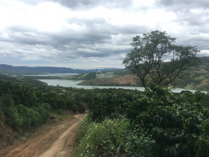 Chính Chủ Bán Nhanh 10ha ( 100000m ) đất View Hồ Lớn Di Linh 1