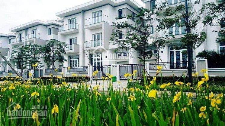 Chính Chủ Bán Nhanh Biệt Thự K1, K2, K4, K6, K7 Ciputra Tây Hồ, 140m2-400m2, View Sân Golf, Hồ điều Hòa, 0975974318 1