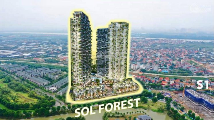 Chính Chủ Bán Nhanh Căn 01 Ban Công Rộng Tầng 10 Solforest - Tt 10% Nhận Nhà - Htls/85% + 5 Chỉ Vàng Lh 0918114743 2