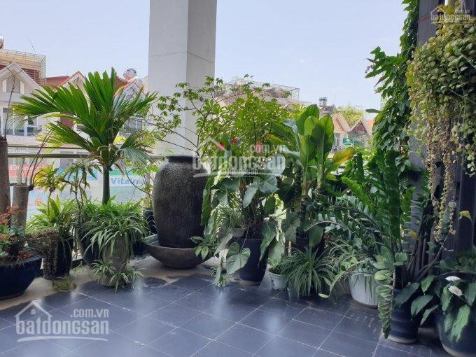 Chính Chủ Bán Nhanh Căn 145m2 + 70m2 Sân Vườn, Tòa T2 Chung Cư Tsq - Euroland Giá 435 Tỷ Lh 0946165185 7