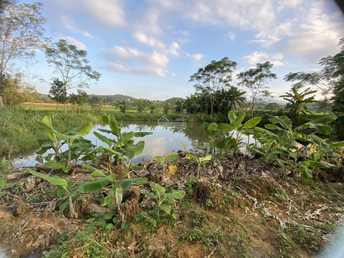 Chính Chủ Bán Nhanh đất Nghỉ Dưỡng Có Ao, View Cánh đồng Thoáng, Vô Cùng đẹp Tại Yên Bài Ba Vì, L/h: 0974715503 8