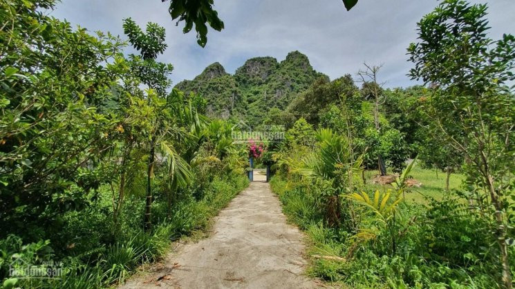 Chính Chủ Bán Nhanh Khuôn Viên Trang Trại, Nhà Vườn Siêu đẹp Tại Lương Sơn, Hòa Bình Có Diện Tích 8500m2 2