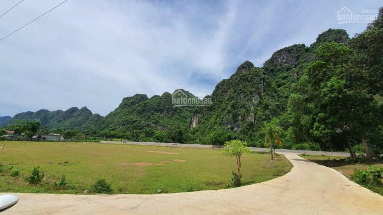 Chính Chủ Bán Nhanh Khuôn Viên Trang Trại, Nhà Vườn Siêu đẹp Tại Lương Sơn, Hòa Bình Có Diện Tích 8500m2 4