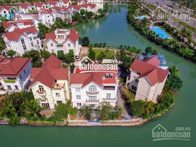 Chính Chủ Bán Nhanh Lỗ Hoa Lan 8, đông Nam, Ngã 3 Sông, Dt 300m2, Vườn Hoa Trước, Vinhomes Riverside 0933985353 1