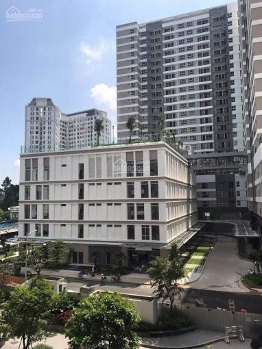 Chính Chủ Bán Nhanh Shophouse Sunrise City View - Kênh Tẻ - Quận 7 - Cđt Novaland Mua Trực Tiếp Công Ty (t122020) 4