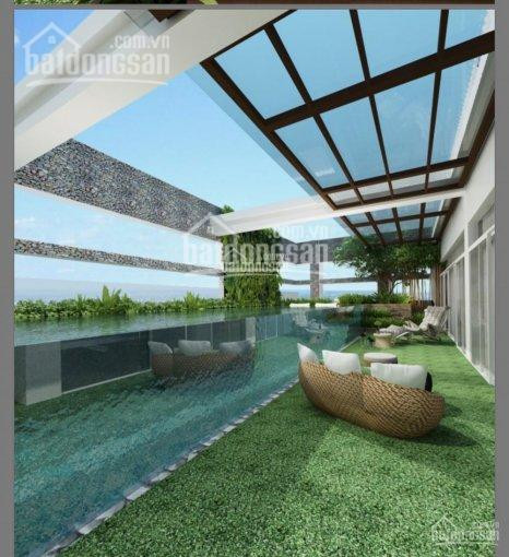 Chính Chủ Bán Penthouse Sunrise City 500m2 Hồ Bơi Sân Vườn View đẹp, Mới 100%, 0977771919 3