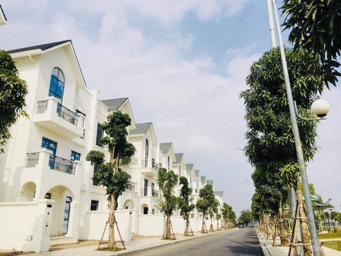 Chính Chủ Cần Bán Nhanh Shophouse Phố đi Bộ - Vinhomes Ocean Park Lh: 0982232472 5