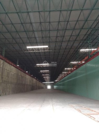 Chính Chủ Cho Thuê Nhanh 10000m2 Kho Xưởng Kcn Long An, đức Hòa 1