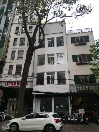 Chính Chủ Cho Thuê Nhanh đường Phan Kế Bính, Q1 (10x19m), Trệt 4 Lầu St, Giá 133,566 Triệu/tháng 0901160668 1
