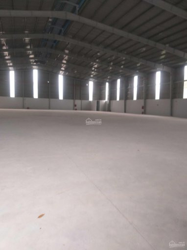 Chính Chủ Cho Thuê Nhanh Kho Xưởng 10000m2 ở Phường Khánh Bình, Tân Uyên, Bình Dương Lh: 0908954129 1