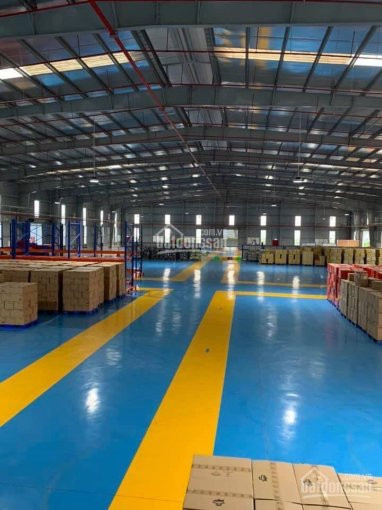 Chính Chủ Cho Thuê Nhanh Kho Xưởng Trần Siêu Cao 1600m2 Mặt Tiền đường An Dương Vương, Phường An Lạc, Q Bình Tân 1