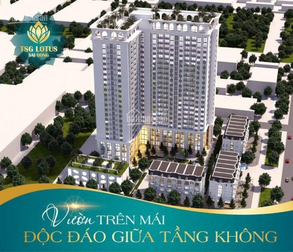 Chính Chủ Cho Thuê Nhanh Kiot Chân đế Tòa Tsg Lotus Long Biên, Hoàn Thiện Cơ Bản 0918661266 3