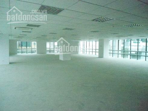 Chính Chủ Cho Thuê Nhanh Văn Phòng Quận đống đa, Phố Láng Hạ 45m2, 80m2, 220m2, 450m2, 700m2, Giá 150000/m2/th 2