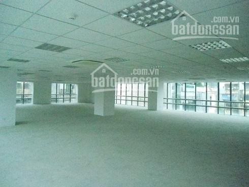 Chính Chủ Cho Thuê Nhanh Văn Phòng Quận đống đa, Phố Láng Hạ 45m2, 80m2, 220m2, 450m2, 700m2, Giá 150000/m2/th 3