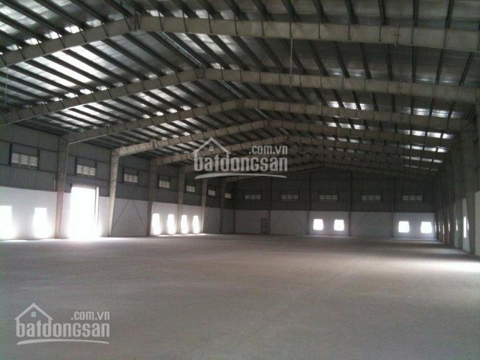 Chính Chủ Cho Thuê Nhanh Xưởng Bình Mỹ, Dt 10000m2, Giá 150 Triệu/tháng 1