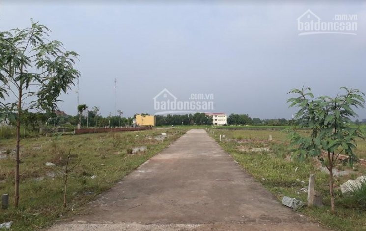 Cơ Hội Hiếm Có: Lô đất Trong Kdc Phú Hữu, Nhơn Trạch đường Dương Văn Thì Tt 12 Tỷ - Dt 6x20m 5