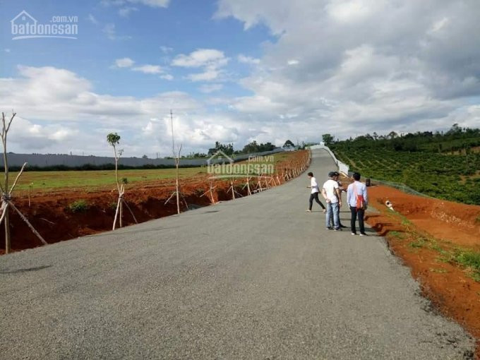 đất Nền Cách Trung Tâm 500m, Sổ Hồng Riêng Biệt, Hạ Tầng đạt Chuẩn ! 2